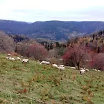 Gite 
