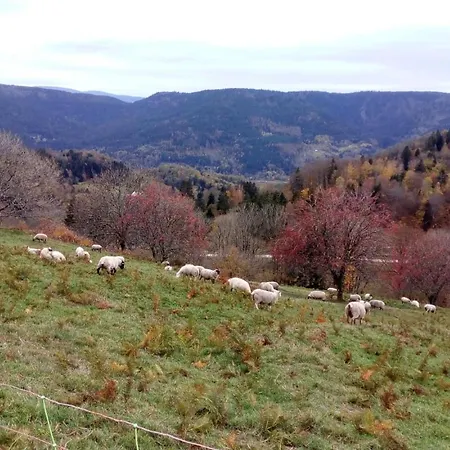 Gte Le Grenier Du Roc Dans Son Cadre De Verdure Thiefosse