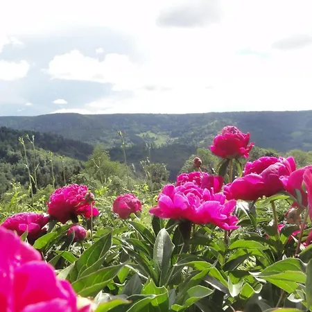 Le Grenier Du Roc * Thiéfosse
