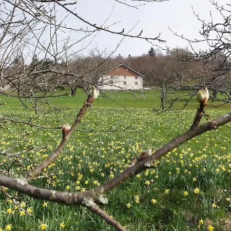 Le Grenier Du Roc * Thiéfosse