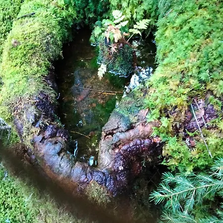 Le Grenier Du Roc Thiéfosse