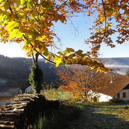 Apartament Gite 