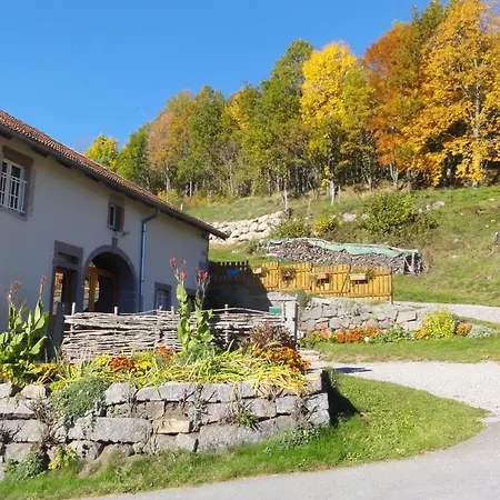 Le Grenier Du Roc Appartement Thiéfosse