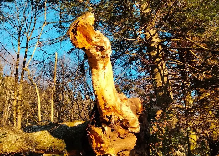 Le Grenier Du Roc Apartmán Thiéfosse