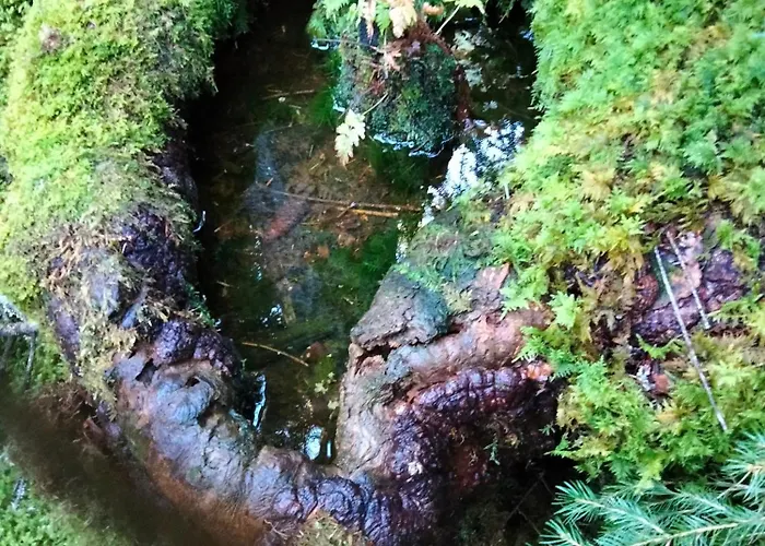 Le Grenier Du Roc Thiéfosse